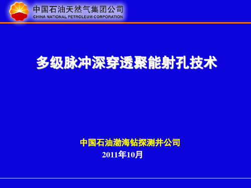 多级脉冲深穿透聚能射孔技术
