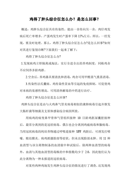 鸡得了肿头综合征怎么办？是怎么回事？.doc