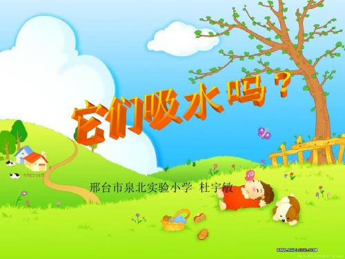 【三上】3.4它们吸水吗----刘约翰
