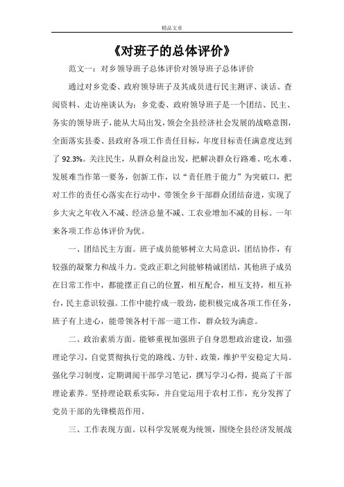 《对班子的总体评价》