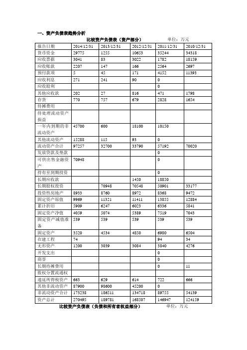 广东明珠公司财务报表分析报告 正本