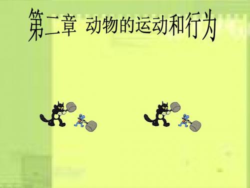 动物的运动和行为