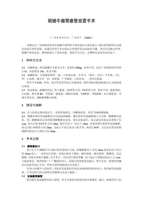 娟姗牛瘤胃瘘管放置手术