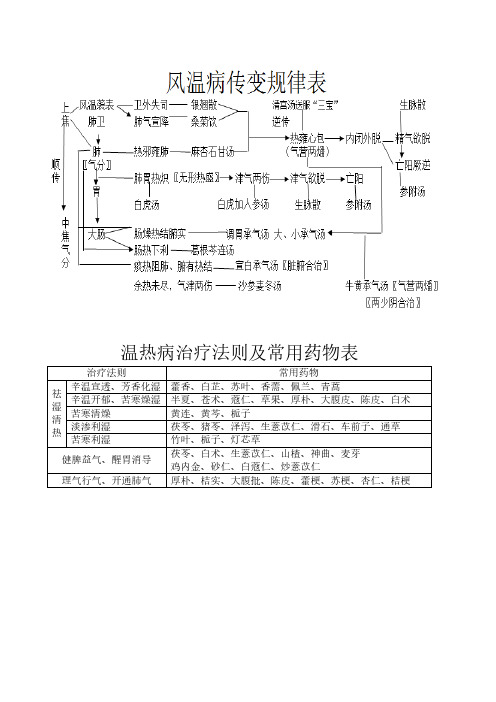 刘景源温病学传变表
