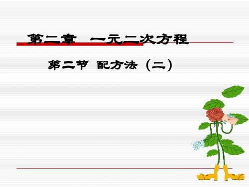 4.配方法(二)