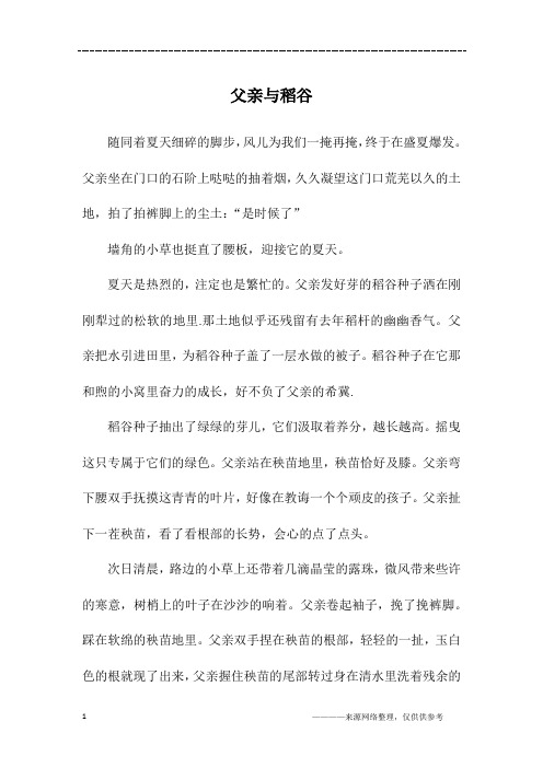 父亲与稻谷_高一作文