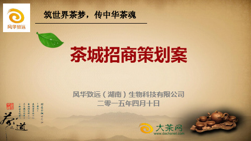 茶城招商策划案(新)