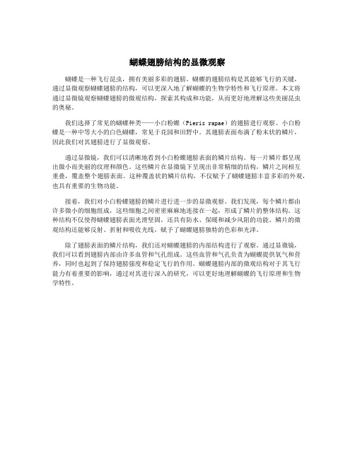 蝴蝶翅膀结构的显微观察
