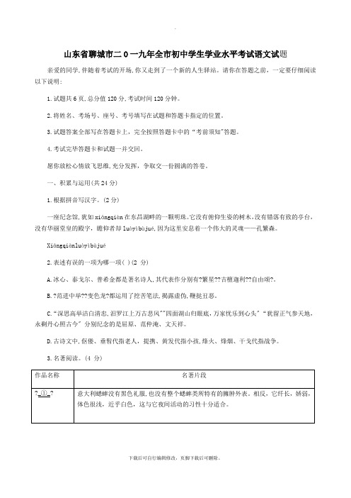 山东省聊城市2021年中考语文真题试题