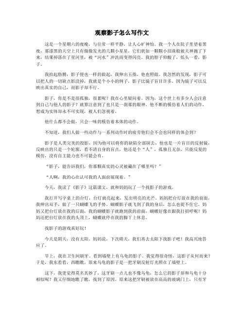 观察影子怎么写作文