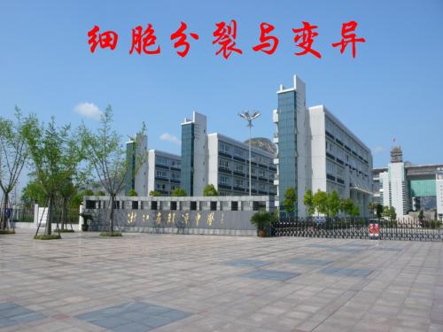 生物：2010届高三一轮复习《 细胞分裂与变异》课件(新人教版必修2)