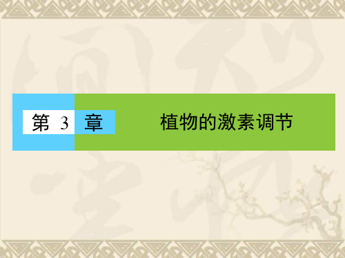 【高效导学】高中生物 第3章 第1节 植物生长素的发现课件 新人教版必修3