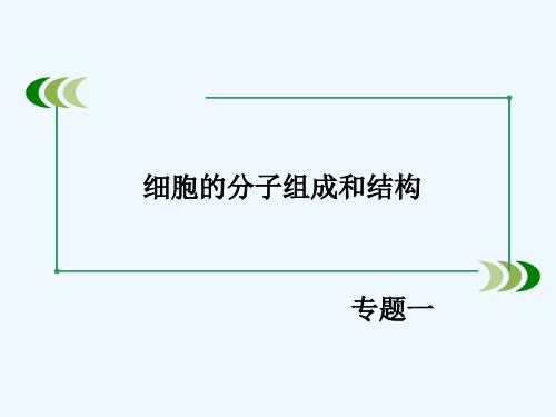 专题1 第1讲 细胞的分子组成和结构课件课件