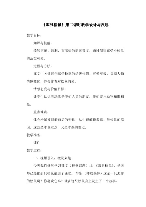 那只松鼠