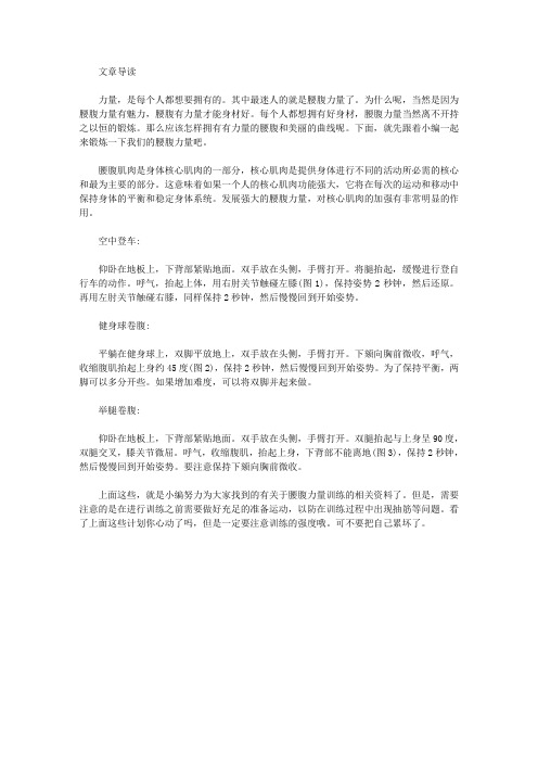 运动养生-腰腹力量训练计划