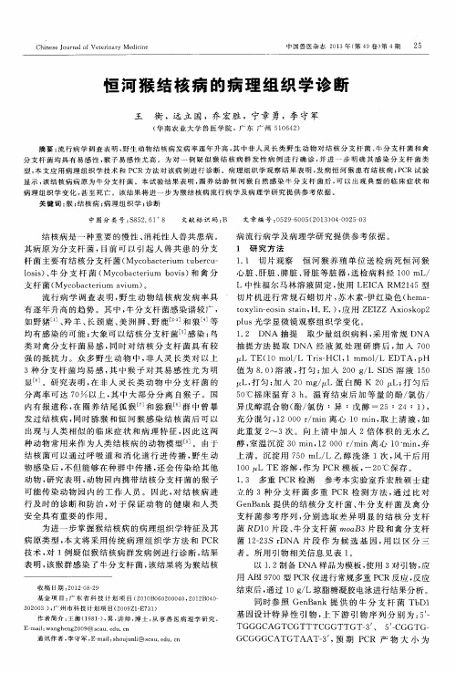 恒河猴结核病的病理组织学诊断