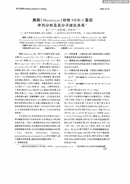 麂属(Muntiacus)动物MDR—1基因序列分析及其分子进化关系