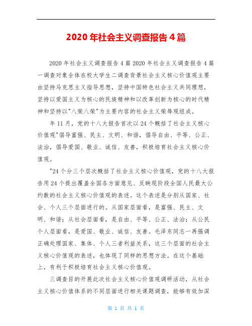 2020年社会主义调查报告4篇