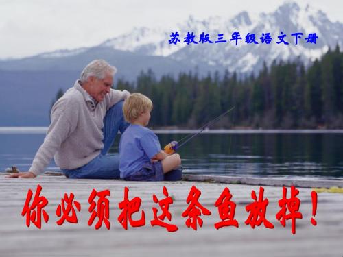苏教版三年级语文下册《你必须把这条鱼放掉》最新ppt课件