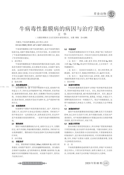牛病毒性黏膜病的病因与治疗策略