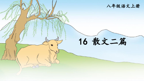 部编版八年级语文上册第16课《散文二篇》优质课件【最新】