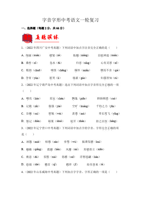 中考语文专题1字音字形(原卷版)