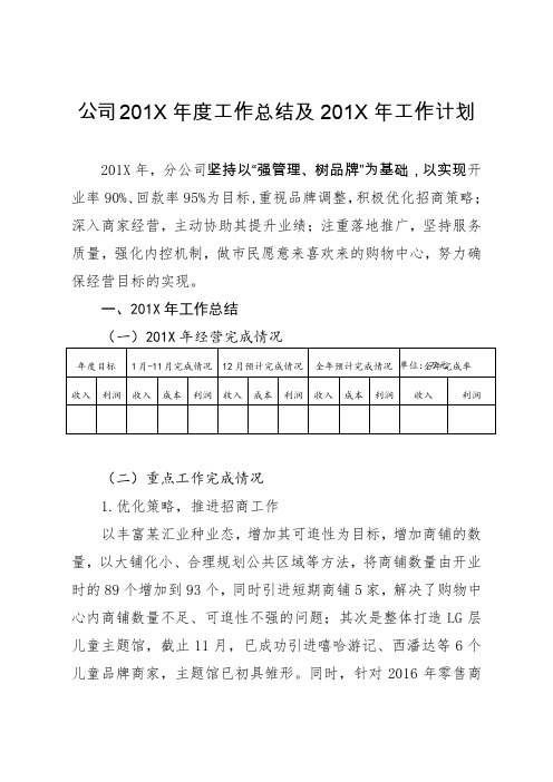 公司201X年度工作总结及201X年工作计划