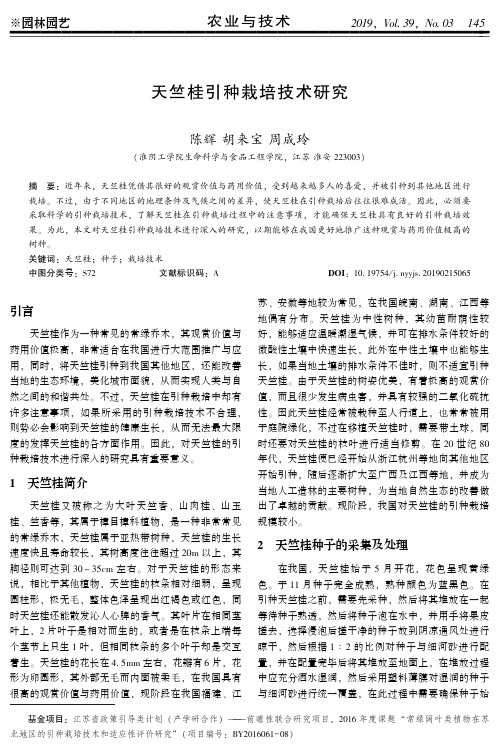 天竺桂引种栽培技术研究
