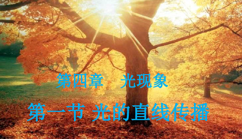 初中课件__41光的直线传播课件