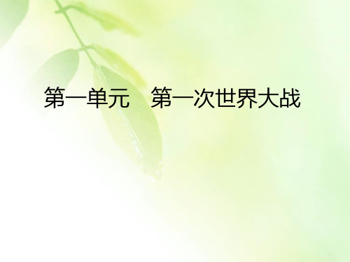 2019-2020学年岳麓版高中历史选修三课件：第1单元 第2课 惨烈的四年战事