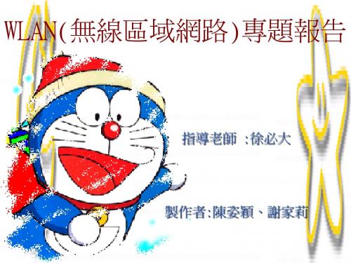 WLAN(无线区域网路)专题报告