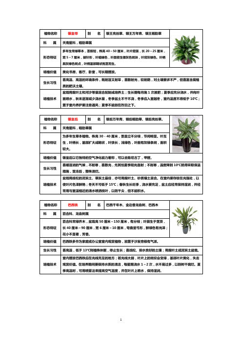 50种常见室内盆栽绿化植物介绍(带图片)