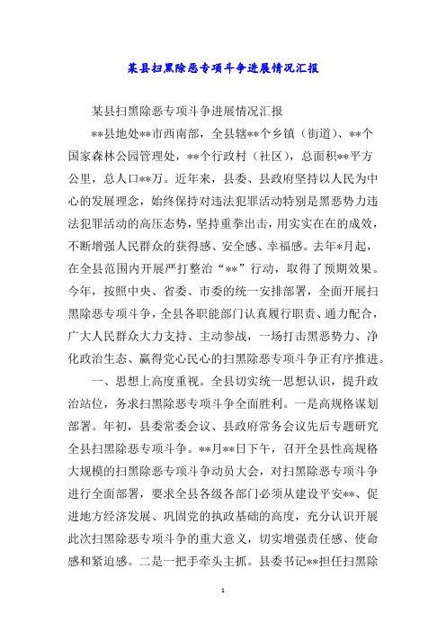 某县扫黑除恶专项斗争进展情况汇报word