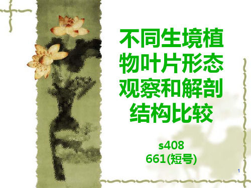 不同生境植物叶片比较PPT课件