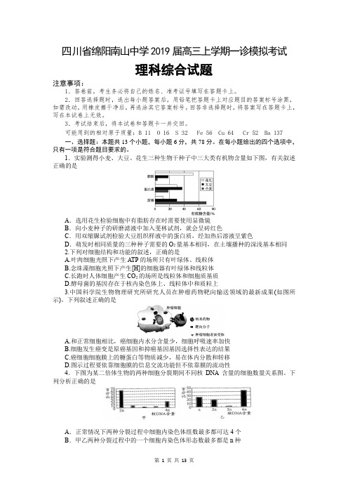 四川省绵阳南山中学2019届高三上学期一诊模拟考试理科综合试题