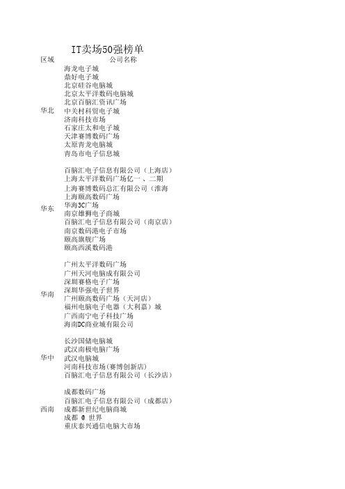 中国电脑500强(参考数据)