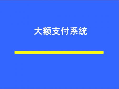 大额支付系统