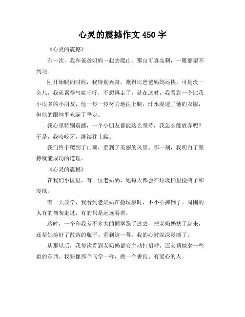 心灵的震撼作文450字