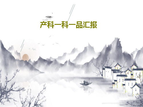 产科一科一品汇报26页文档
