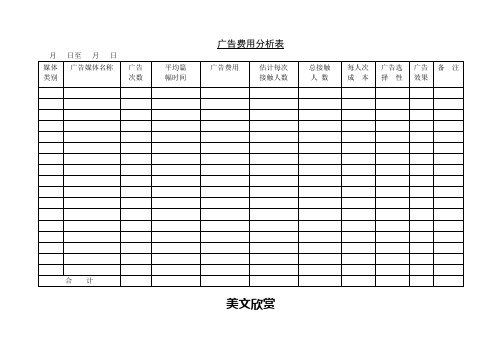 广告费用分析表(1)