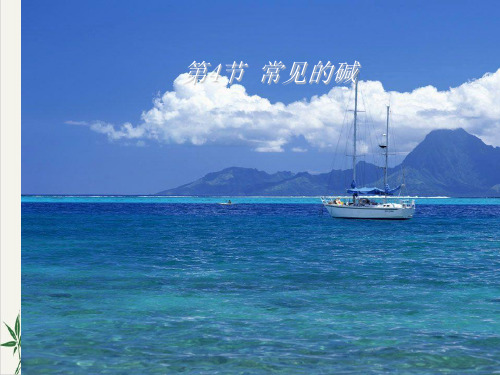 九年级上科学《常见的碱》PPT实用课件浙教版