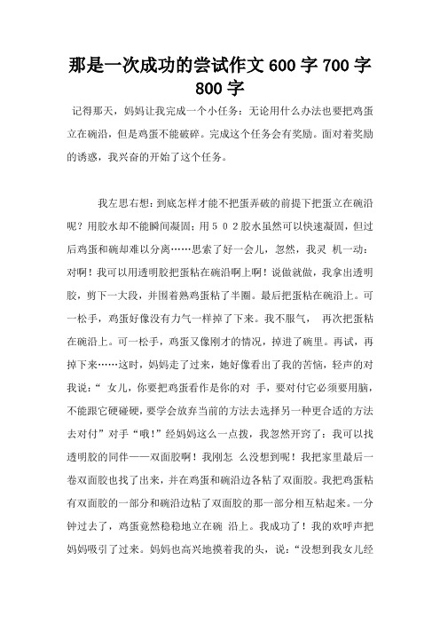 那是一次成功的尝试作文600字700字800字