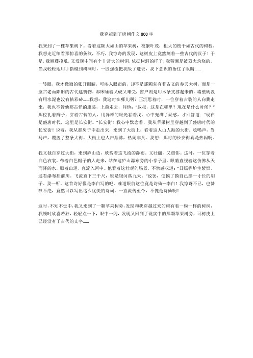 我穿越到了唐朝作文800字(优秀作文)