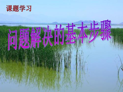 初中数学七年级上册课题学习：问题解决的基本步骤最新精品PPT