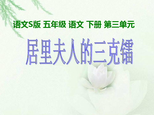 《居里夫人的三克镭》课件 新