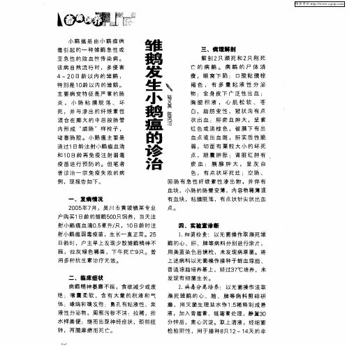 雏鹅发生小鹅瘟的诊治