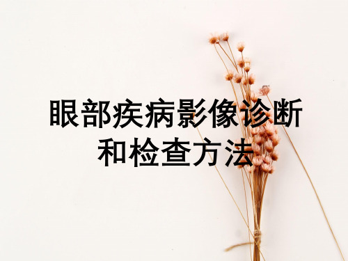 眼部疾病影像诊断与检查方法