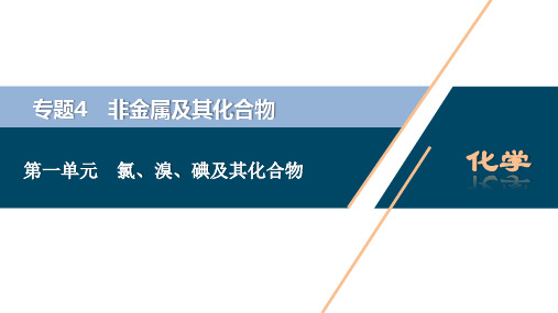 2021版浙江高考选考化学一轮复习课件：专题4 1 第一单元 氯、溴、碘及其化合物 