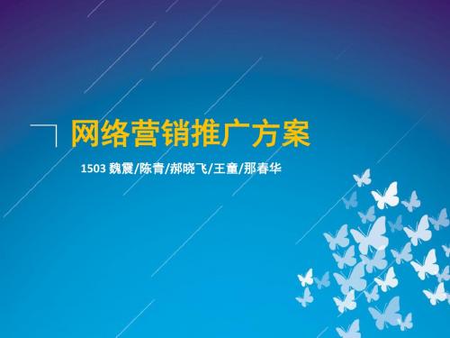 网络营销推广方案(无人机)