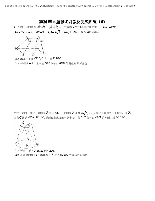 大题强化训练及变式训练(2024届高三二轮复习大题强化训练及变式训练(新高考九省联考题型)(解析版)